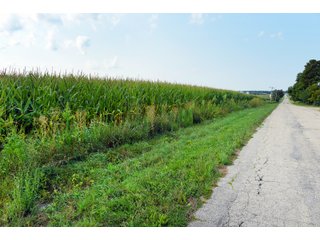 Tracts 6 & 7 in Boone County, Indiana Farmland - VIRTUAL ILLINOIS LAND AUCTION - 637+/- ACRES OFFERED IN 11 TRACTS IN OGLE, BOONE & WINNEBAGO COUNTIES, ILLINOIS (PART OF AN 1,132+/- ACRE, 21 TRACT AUCTION)