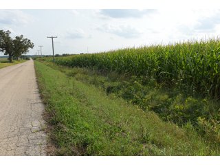 Tracts 6 & 7 in Boone County, Indiana Farmland - VIRTUAL ILLINOIS LAND AUCTION - 637+/- ACRES OFFERED IN 11 TRACTS IN OGLE, BOONE & WINNEBAGO COUNTIES, ILLINOIS (PART OF AN 1,132+/- ACRE, 21 TRACT AUCTION)