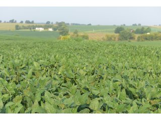 Tracts 8-11 in Winnebago County, Indiana Farmland - VIRTUAL ILLINOIS LAND AUCTION - 637+/- ACRES OFFERED IN 11 TRACTS IN OGLE, BOONE & WINNEBAGO COUNTIES, ILLINOIS (PART OF AN 1,132+/- ACRE, 21 TRACT AUCTION)