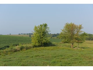 Tracts 8-11 in Winnebago County, Indiana Farmland - VIRTUAL ILLINOIS LAND AUCTION - 637+/- ACRES OFFERED IN 11 TRACTS IN OGLE, BOONE & WINNEBAGO COUNTIES, ILLINOIS (PART OF AN 1,132+/- ACRE, 21 TRACT AUCTION)