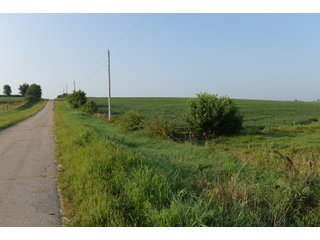 Tracts 8-11 in Winnebago County, Indiana Farmland - VIRTUAL ILLINOIS LAND AUCTION - 637+/- ACRES OFFERED IN 11 TRACTS IN OGLE, BOONE & WINNEBAGO COUNTIES, ILLINOIS (PART OF AN 1,132+/- ACRE, 21 TRACT AUCTION)