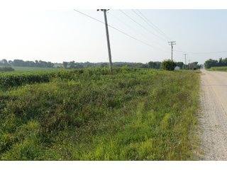 Tracts 8-11 in Winnebago County, Indiana Farmland - VIRTUAL ILLINOIS LAND AUCTION - 637+/- ACRES OFFERED IN 11 TRACTS IN OGLE, BOONE & WINNEBAGO COUNTIES, ILLINOIS (PART OF AN 1,132+/- ACRE, 21 TRACT AUCTION)