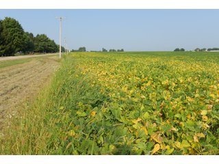 Tracts 1-5 in Ogle County, Indiana Farmland - VIRTUAL ILLINOIS LAND AUCTION - 637+/- ACRES OFFERED IN 11 TRACTS IN OGLE, BOONE & WINNEBAGO COUNTIES, ILLINOIS (PART OF AN 1,132+/- ACRE, 21 TRACT AUCTION)