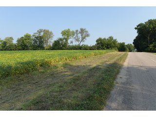 Tracts 1-5 in Ogle County, Indiana Farmland - VIRTUAL ILLINOIS LAND AUCTION - 637+/- ACRES OFFERED IN 11 TRACTS IN OGLE, BOONE & WINNEBAGO COUNTIES, ILLINOIS (PART OF AN 1,132+/- ACRE, 21 TRACT AUCTION)