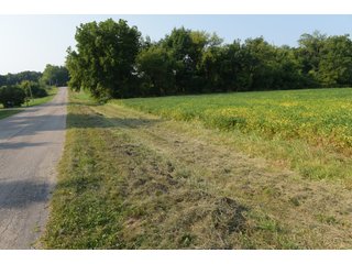 Tracts 1-5 in Ogle County, Indiana Farmland - VIRTUAL ILLINOIS LAND AUCTION - 637+/- ACRES OFFERED IN 11 TRACTS IN OGLE, BOONE & WINNEBAGO COUNTIES, ILLINOIS (PART OF AN 1,132+/- ACRE, 21 TRACT AUCTION)