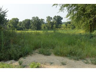 Tracts 1-5 in Ogle County, Indiana Farmland - VIRTUAL ILLINOIS LAND AUCTION - 637+/- ACRES OFFERED IN 11 TRACTS IN OGLE, BOONE & WINNEBAGO COUNTIES, ILLINOIS (PART OF AN 1,132+/- ACRE, 21 TRACT AUCTION)