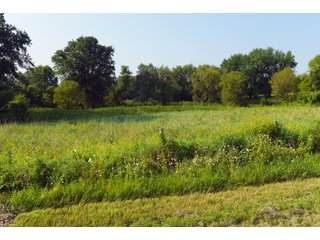 Tracts 1-5 in Ogle County, Indiana Farmland - VIRTUAL ILLINOIS LAND AUCTION - 637+/- ACRES OFFERED IN 11 TRACTS IN OGLE, BOONE & WINNEBAGO COUNTIES, ILLINOIS (PART OF AN 1,132+/- ACRE, 21 TRACT AUCTION)