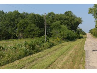 Tracts 1-5 in Ogle County, Indiana Farmland - VIRTUAL ILLINOIS LAND AUCTION - 637+/- ACRES OFFERED IN 11 TRACTS IN OGLE, BOONE & WINNEBAGO COUNTIES, ILLINOIS (PART OF AN 1,132+/- ACRE, 21 TRACT AUCTION)