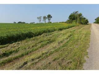 Tracts 1-5 in Ogle County, Indiana Farmland - VIRTUAL ILLINOIS LAND AUCTION - 637+/- ACRES OFFERED IN 11 TRACTS IN OGLE, BOONE & WINNEBAGO COUNTIES, ILLINOIS (PART OF AN 1,132+/- ACRE, 21 TRACT AUCTION)