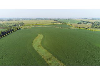 Tracts 8-11 in Winnebago County, Indiana Farmland - VIRTUAL ILLINOIS LAND AUCTION - 637+/- ACRES OFFERED IN 11 TRACTS IN OGLE, BOONE & WINNEBAGO COUNTIES, ILLINOIS (PART OF AN 1,132+/- ACRE, 21 TRACT AUCTION)