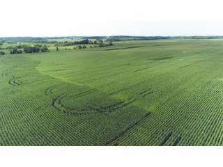 Tracts 6 & 7 in Boone County, Indiana Farmland - VIRTUAL ILLINOIS LAND AUCTION - 637+/- ACRES OFFERED IN 11 TRACTS IN OGLE, BOONE & WINNEBAGO COUNTIES, ILLINOIS (PART OF AN 1,132+/- ACRE, 21 TRACT AUCTION)