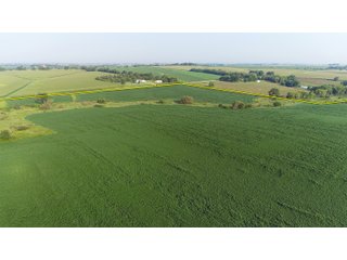 Tracts 8-11 in Winnebago County, Indiana Farmland - VIRTUAL ILLINOIS LAND AUCTION - 637+/- ACRES OFFERED IN 11 TRACTS IN OGLE, BOONE & WINNEBAGO COUNTIES, ILLINOIS (PART OF AN 1,132+/- ACRE, 21 TRACT AUCTION)