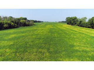 Tracts 1-5 in Ogle County, Indiana Farmland - VIRTUAL ILLINOIS LAND AUCTION - 637+/- ACRES OFFERED IN 11 TRACTS IN OGLE, BOONE & WINNEBAGO COUNTIES, ILLINOIS (PART OF AN 1,132+/- ACRE, 21 TRACT AUCTION)