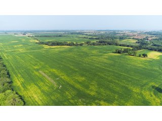 Tracts 1-5 in Ogle County, Indiana Farmland - VIRTUAL ILLINOIS LAND AUCTION - 637+/- ACRES OFFERED IN 11 TRACTS IN OGLE, BOONE & WINNEBAGO COUNTIES, ILLINOIS (PART OF AN 1,132+/- ACRE, 21 TRACT AUCTION)
