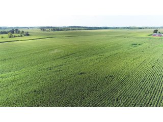 Tracts 6 & 7 in Boone County, Indiana Farmland - VIRTUAL ILLINOIS LAND AUCTION - 637+/- ACRES OFFERED IN 11 TRACTS IN OGLE, BOONE & WINNEBAGO COUNTIES, ILLINOIS (PART OF AN 1,132+/- ACRE, 21 TRACT AUCTION)