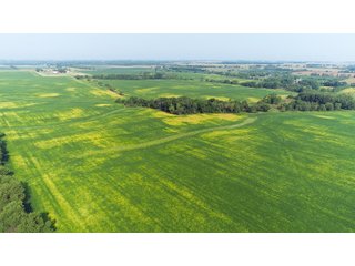 Tracts 1-5 in Ogle County, Indiana Farmland - VIRTUAL ILLINOIS LAND AUCTION - 637+/- ACRES OFFERED IN 11 TRACTS IN OGLE, BOONE & WINNEBAGO COUNTIES, ILLINOIS (PART OF AN 1,132+/- ACRE, 21 TRACT AUCTION)