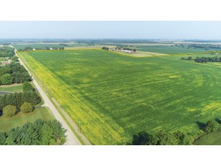 Tracts 1-5 in Ogle County, Indiana Farmland - VIRTUAL ILLINOIS LAND AUCTION - 637+/- ACRES OFFERED IN 11 TRACTS IN OGLE, BOONE & WINNEBAGO COUNTIES, ILLINOIS (PART OF AN 1,132+/- ACRE, 21 TRACT AUCTION)