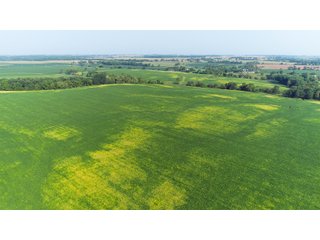 Tracts 1-5 in Ogle County, Indiana Farmland - VIRTUAL ILLINOIS LAND AUCTION - 637+/- ACRES OFFERED IN 11 TRACTS IN OGLE, BOONE & WINNEBAGO COUNTIES, ILLINOIS (PART OF AN 1,132+/- ACRE, 21 TRACT AUCTION)