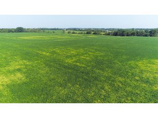 Tracts 1-5 in Ogle County, Indiana Farmland - VIRTUAL ILLINOIS LAND AUCTION - 637+/- ACRES OFFERED IN 11 TRACTS IN OGLE, BOONE & WINNEBAGO COUNTIES, ILLINOIS (PART OF AN 1,132+/- ACRE, 21 TRACT AUCTION)
