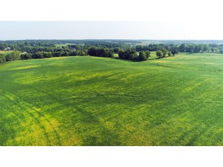 Tracts 1-5 in Ogle County, Indiana Farmland - VIRTUAL ILLINOIS LAND AUCTION - 637+/- ACRES OFFERED IN 11 TRACTS IN OGLE, BOONE & WINNEBAGO COUNTIES, ILLINOIS (PART OF AN 1,132+/- ACRE, 21 TRACT AUCTION)