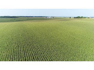 Tracts 6 & 7 in Boone County, Indiana Farmland - VIRTUAL ILLINOIS LAND AUCTION - 637+/- ACRES OFFERED IN 11 TRACTS IN OGLE, BOONE & WINNEBAGO COUNTIES, ILLINOIS (PART OF AN 1,132+/- ACRE, 21 TRACT AUCTION)