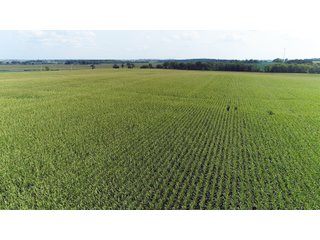 Tracts 6 & 7 in Boone County, Indiana Farmland - VIRTUAL ILLINOIS LAND AUCTION - 637+/- ACRES OFFERED IN 11 TRACTS IN OGLE, BOONE & WINNEBAGO COUNTIES, ILLINOIS (PART OF AN 1,132+/- ACRE, 21 TRACT AUCTION)