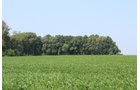 Tract 20 in Clay & Wayne Counties, Indiana Farmland - VIRTUAL ILLINOIS LAND AUCTION - 109+/- ACRES OFFERED IN 3 TRACTS IN CLAY & WAYNE COUNTIES, ILLINOIS (PART OF AN 1,132+/- ACRE, 21 TRACT AUCTION)