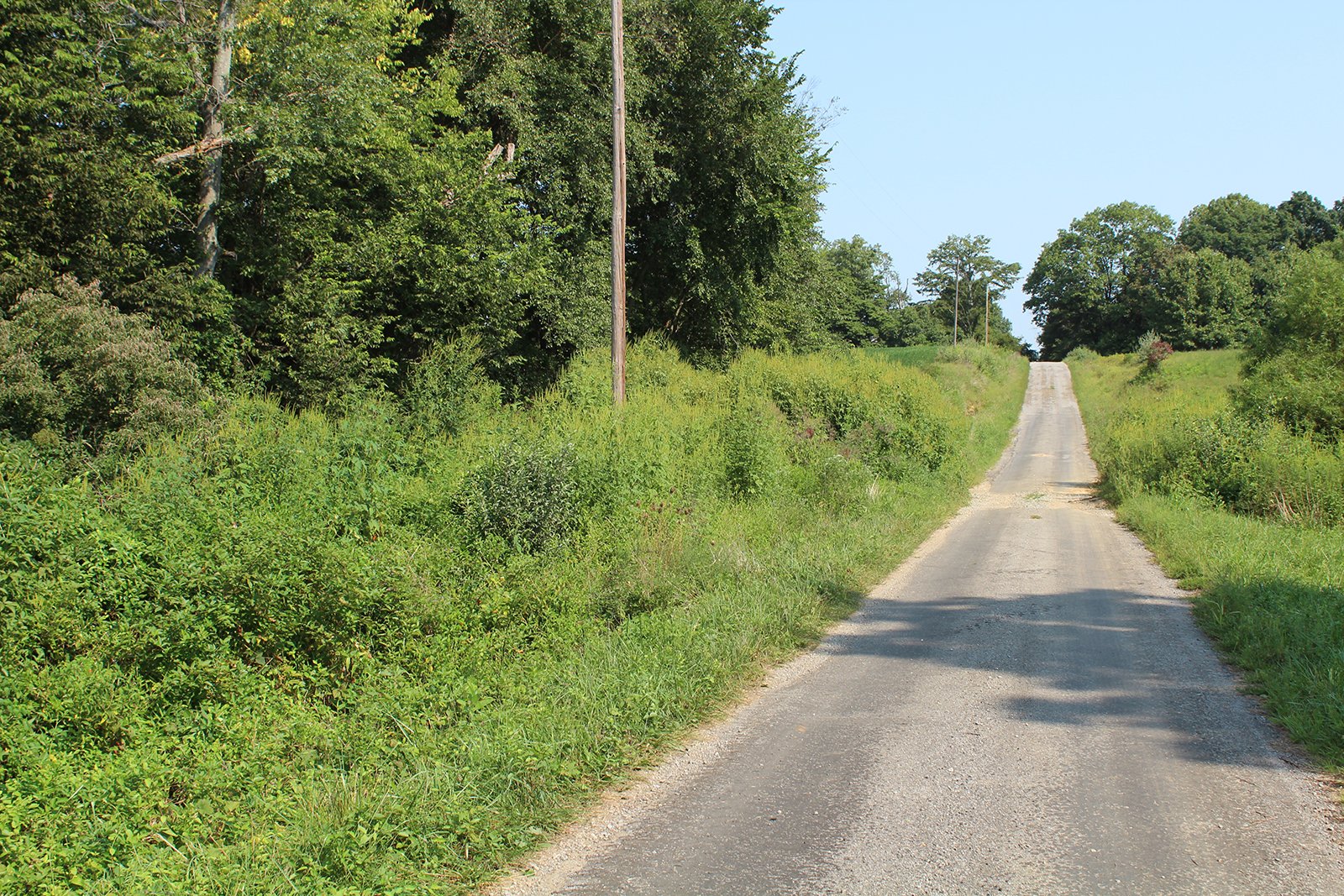 Tract 20 in Clay & Wayne Counties, Indiana Farmland - VIRTUAL ILLINOIS LAND AUCTION - 109+/- ACRES OFFERED IN 3 TRACTS IN CLAY & WAYNE COUNTIES, ILLINOIS (PART OF AN 1,132+/- ACRE, 21 TRACT AUCTION)