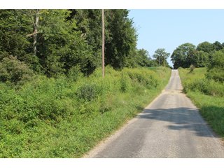 Tract 20 in Clay & Wayne Counties, Indiana Farmland - VIRTUAL ILLINOIS LAND AUCTION - 109+/- ACRES OFFERED IN 3 TRACTS IN CLAY & WAYNE COUNTIES, ILLINOIS (PART OF AN 1,132+/- ACRE, 21 TRACT AUCTION)