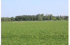 Tract 21 in Clay & Wayne Counties, Indiana Farmland - VIRTUAL ILLINOIS LAND AUCTION - 109+/- ACRES OFFERED IN 3 TRACTS IN CLAY & WAYNE COUNTIES, ILLINOIS (PART OF AN 1,132+/- ACRE, 21 TRACT AUCTION)