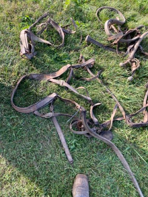 Property photo 2466 - TIMED ONLINE ONLY FARM ESTATE AUCTION IN DEKALB COUNTY, INDIANA