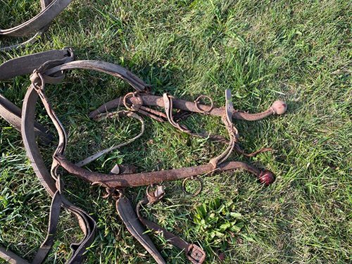 Property photo 2468 - TIMED ONLINE ONLY FARM ESTATE AUCTION IN DEKALB COUNTY, INDIANA