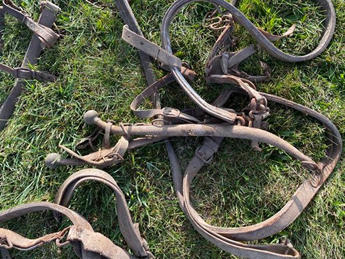 Property photo 2469 - TIMED ONLINE ONLY FARM ESTATE AUCTION IN DEKALB COUNTY, INDIANA