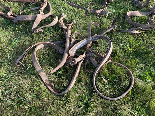 Property photo 2470 - TIMED ONLINE ONLY FARM ESTATE AUCTION IN DEKALB COUNTY, INDIANA