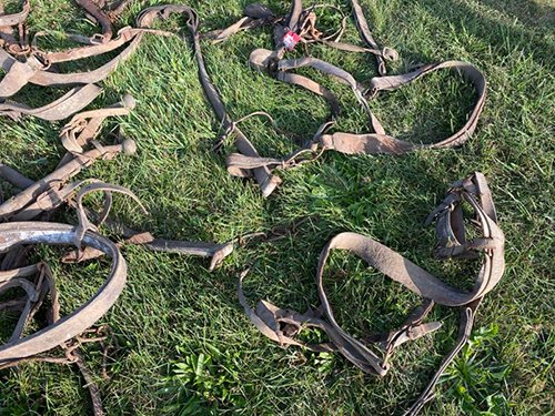 Property photo 2471 - TIMED ONLINE ONLY FARM ESTATE AUCTION IN DEKALB COUNTY, INDIANA