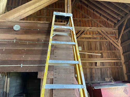 Property photo 3242 - TIMED ONLINE ONLY FARM ESTATE AUCTION IN DEKALB COUNTY, INDIANA