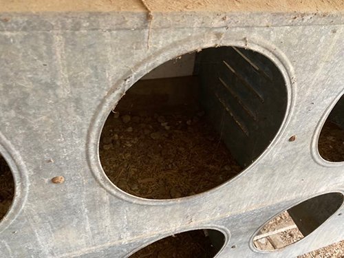 Property photo 3619 - TIMED ONLINE ONLY FARM ESTATE AUCTION IN DEKALB COUNTY, INDIANA