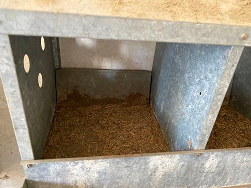 Property photo 3636 - TIMED ONLINE ONLY FARM ESTATE AUCTION IN DEKALB COUNTY, INDIANA