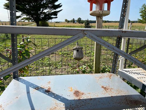 Property photo 3656 - TIMED ONLINE ONLY FARM ESTATE AUCTION IN DEKALB COUNTY, INDIANA