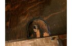 Property photo 148 - TIMED ONLINE ONLY FARM ESTATE AUCTION IN DEKALB COUNTY, INDIANA