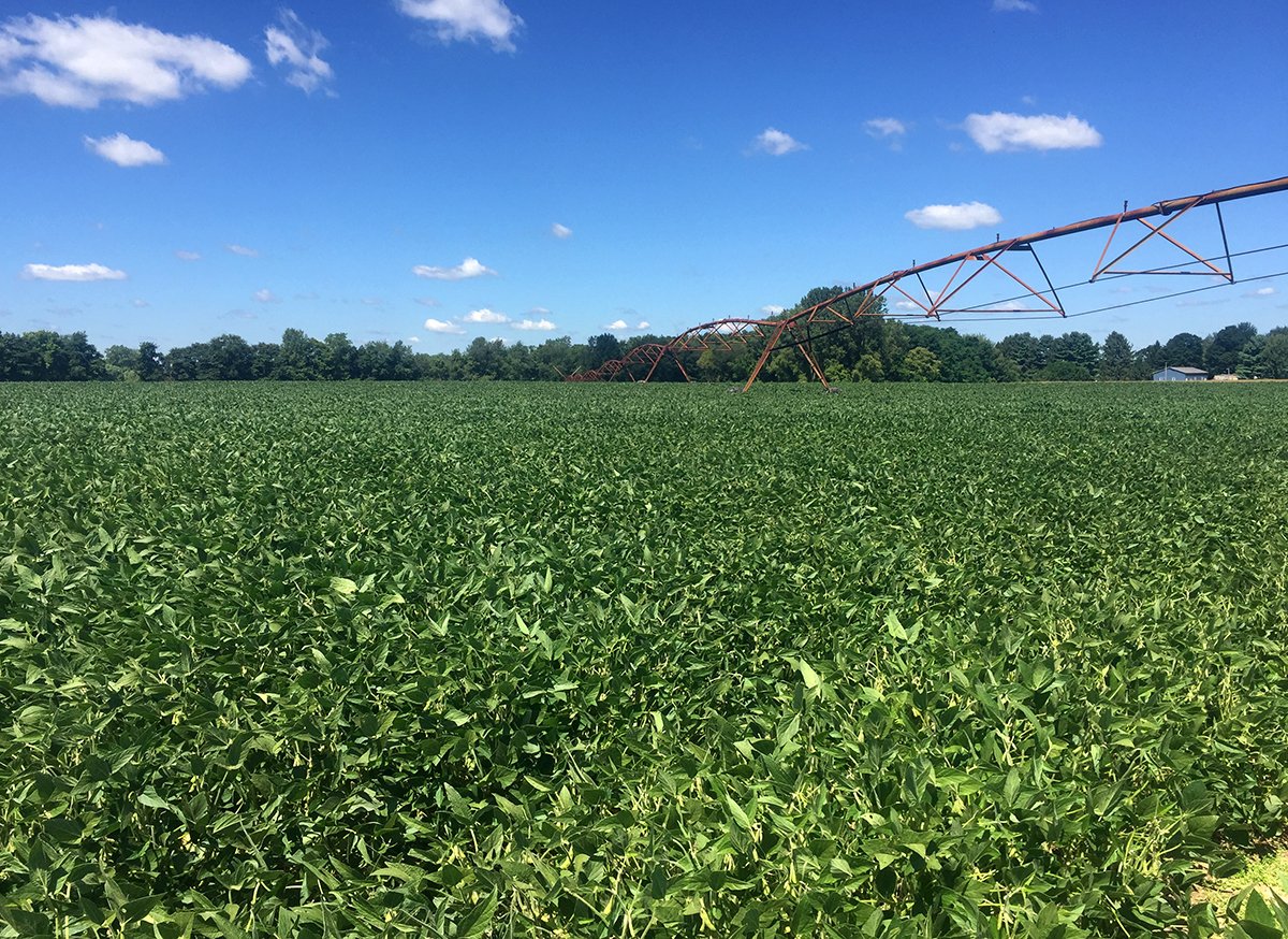 Branch County, Michigan Farmland - VIRTUAL LAND AUCTION - 205.5+/- ACRES OFFERED IN 2 TRACTS AND 2 EQUIPMENT TRACTS IN BRANCH COUNTY, MICHIGAN