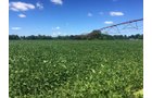 Branch County, Michigan Farmland - VIRTUAL LAND AUCTION - 205.5+/- ACRES OFFERED IN 2 TRACTS AND 2 EQUIPMENT TRACTS IN BRANCH COUNTY, MICHIGAN