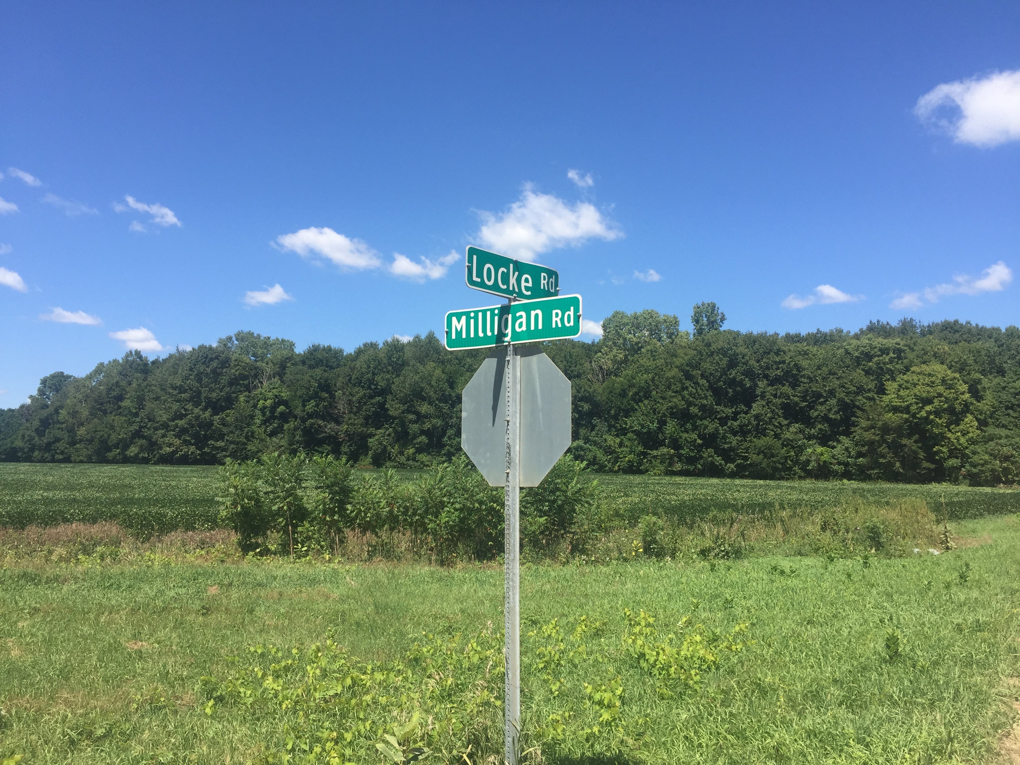 Branch County, Michigan Farmland - VIRTUAL LAND AUCTION - 205.5+/- ACRES OFFERED IN 2 TRACTS AND 2 EQUIPMENT TRACTS IN BRANCH COUNTY, MICHIGAN