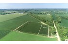 Branch County, Michigan Farmland - VIRTUAL LAND AUCTION - 205.5+/- ACRES OFFERED IN 2 TRACTS AND 2 EQUIPMENT TRACTS IN BRANCH COUNTY, MICHIGAN