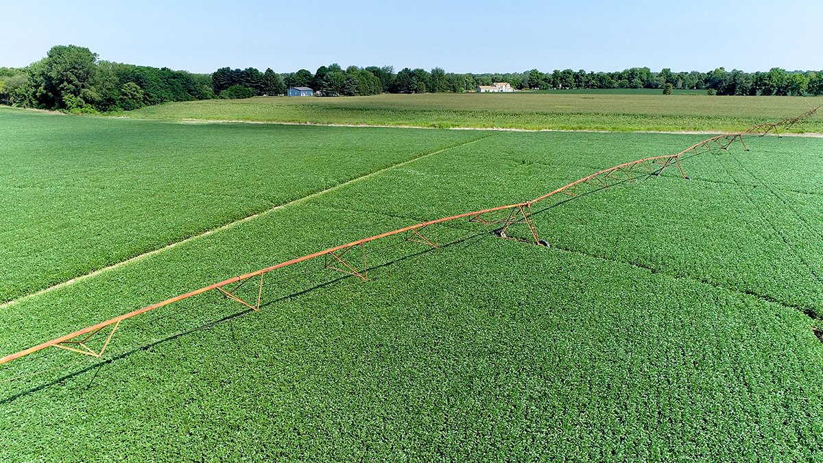 Branch County, Michigan Farmland - VIRTUAL LAND AUCTION - 205.5+/- ACRES OFFERED IN 2 TRACTS AND 2 EQUIPMENT TRACTS IN BRANCH COUNTY, MICHIGAN