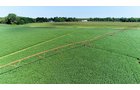 Branch County, Michigan Farmland - VIRTUAL LAND AUCTION - 205.5+/- ACRES OFFERED IN 2 TRACTS AND 2 EQUIPMENT TRACTS IN BRANCH COUNTY, MICHIGAN