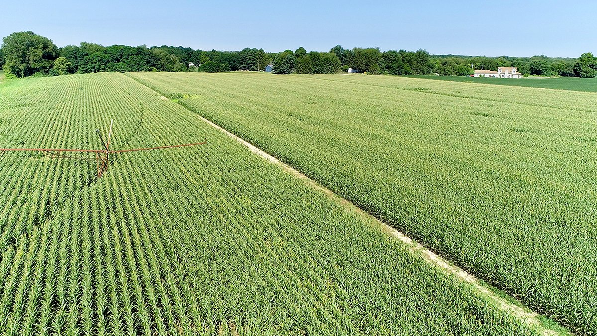 Branch County, Michigan Farmland - VIRTUAL LAND AUCTION - 205.5+/- ACRES OFFERED IN 2 TRACTS AND 2 EQUIPMENT TRACTS IN BRANCH COUNTY, MICHIGAN