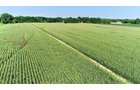Branch County, Michigan Farmland - VIRTUAL LAND AUCTION - 205.5+/- ACRES OFFERED IN 2 TRACTS AND 2 EQUIPMENT TRACTS IN BRANCH COUNTY, MICHIGAN