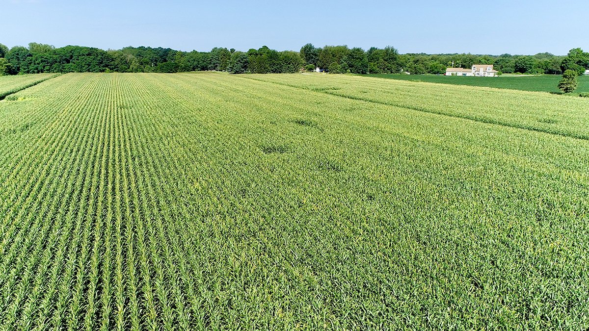 Branch County, Michigan Farmland - VIRTUAL LAND AUCTION - 205.5+/- ACRES OFFERED IN 2 TRACTS AND 2 EQUIPMENT TRACTS IN BRANCH COUNTY, MICHIGAN