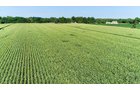 Branch County, Michigan Farmland - VIRTUAL LAND AUCTION - 205.5+/- ACRES OFFERED IN 2 TRACTS AND 2 EQUIPMENT TRACTS IN BRANCH COUNTY, MICHIGAN